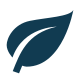 e-commerce-seo-for-beauty-industry