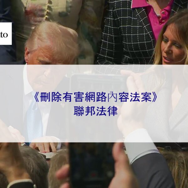 《刪除網路有害或負面內容 TAKE IT DOWN 法案》：聯邦法律