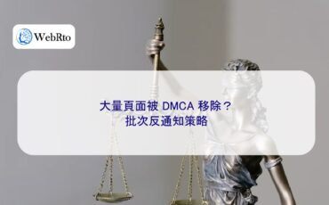 Bulk DMCA Counter-Notices-04